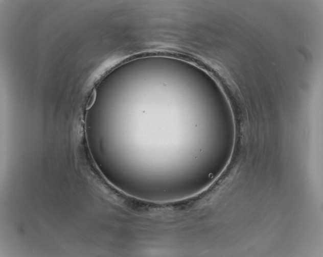 X0000115681363200911121237