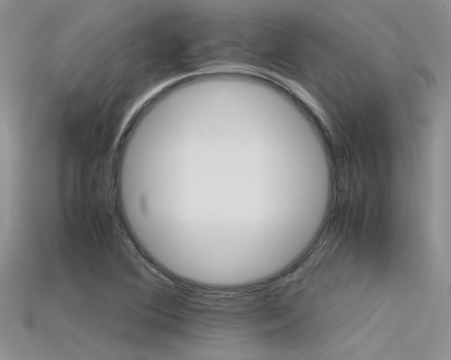 X0000115681364200911121237