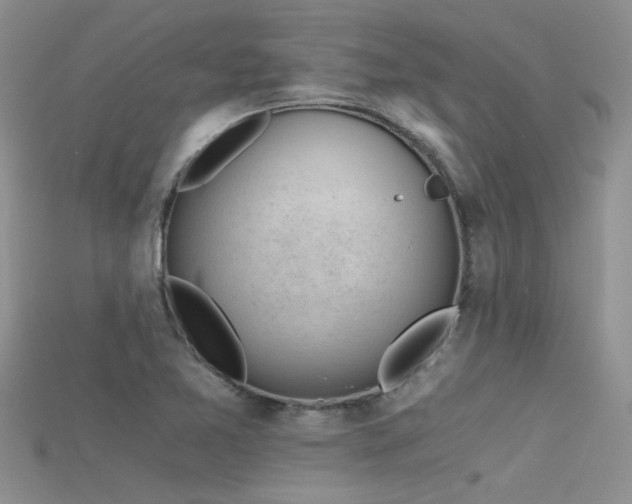 X0000115681365200911121237