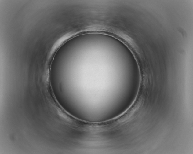 X0000115681366200911121237