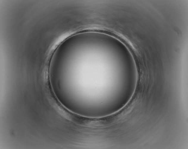 X0000115681367200911121237