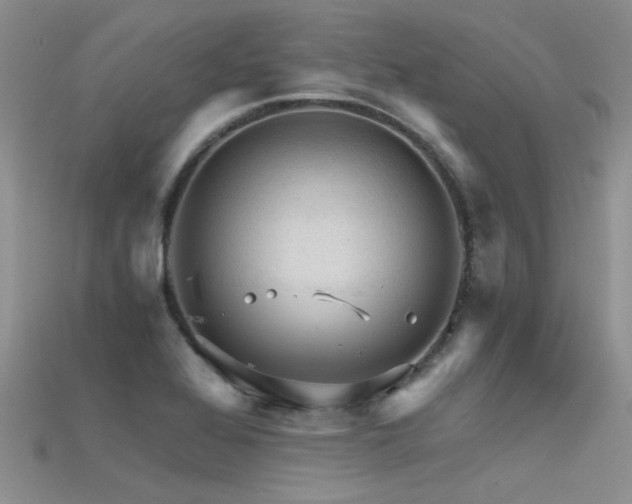 X0000115681368200911121237