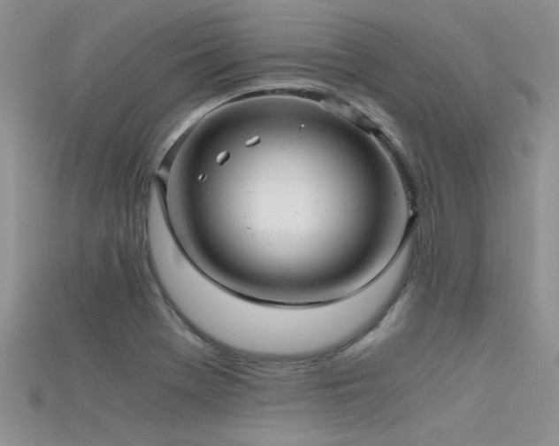 X0000115681369200911121237