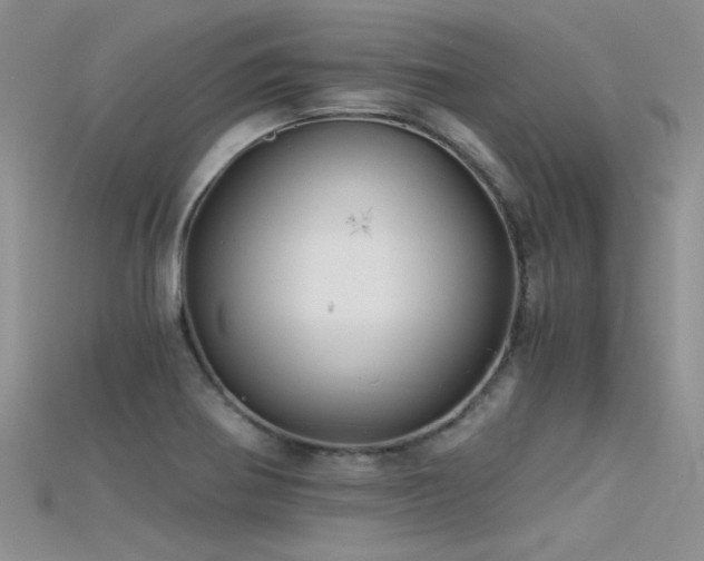 X0000115681370200911121236