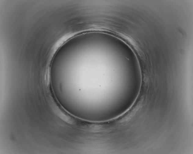 X0000115681371200911121236