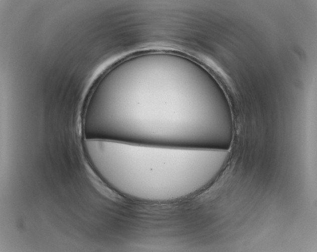X0000115681372200911121236