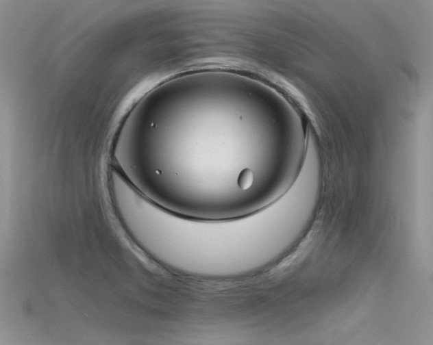 X0000115681373200911121236