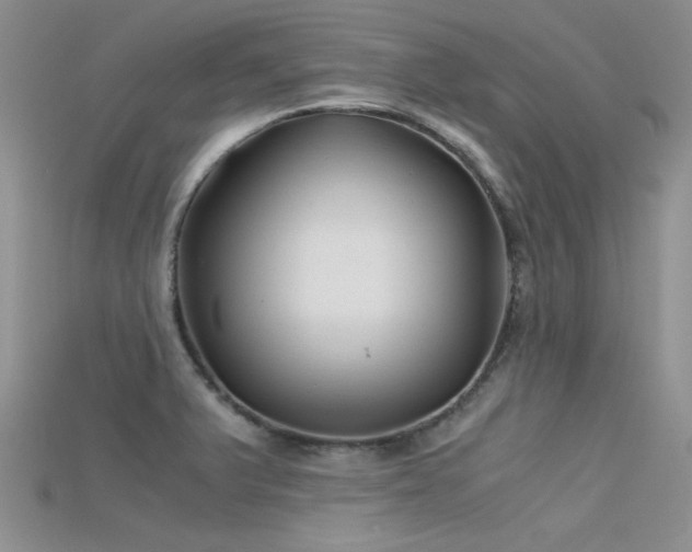 X0000115681375200911121236