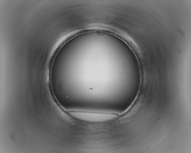X0000115681376200911121236