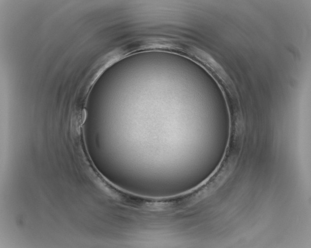 X0000115681377200911121236