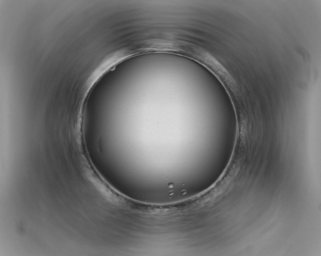 X0000115681378200911121236