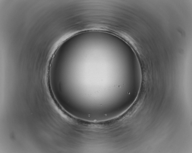 X0000115681379200911121236