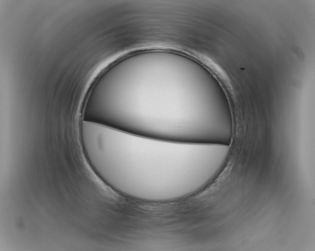 X0000115681380200911121236