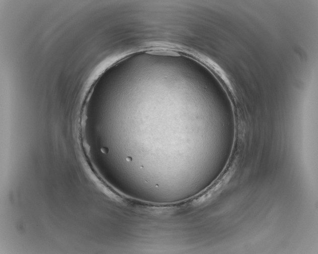 X0000115681381200911121236