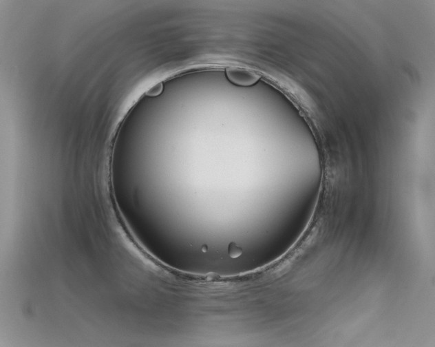 X0000115681382200911121236