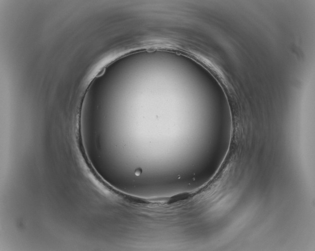 X0000115681383200911121236