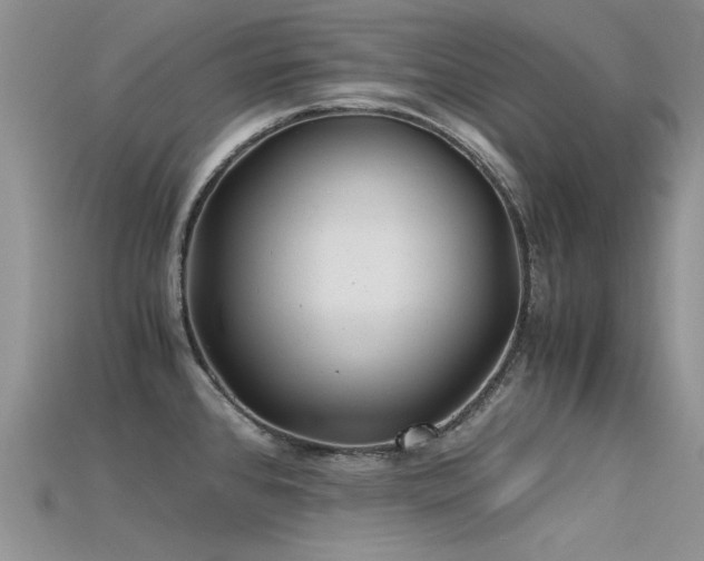 X0000115681384200911121236