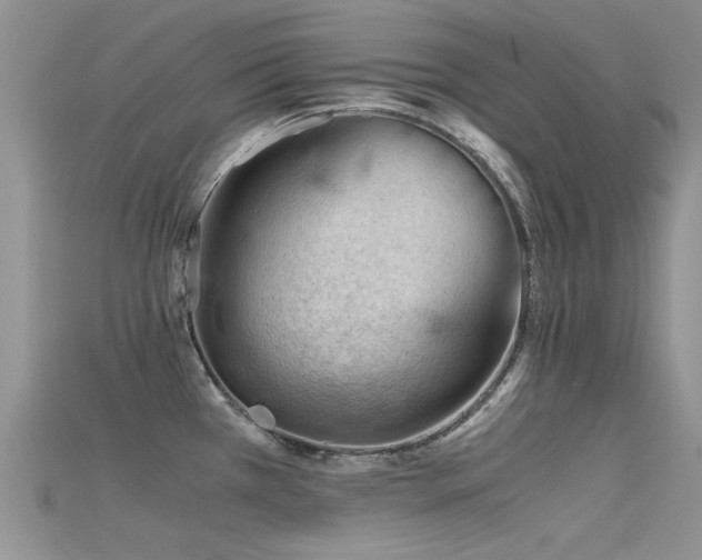 X0000115681385200911121236