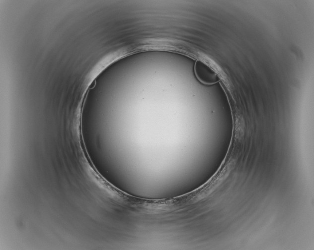 X0000115681386200911121236