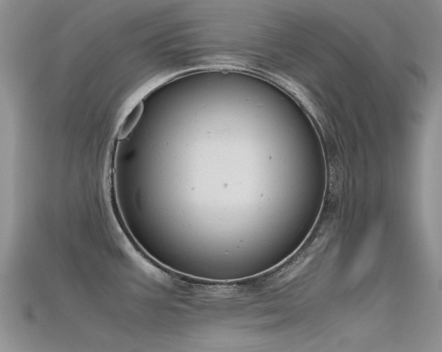X0000115681387200911121236