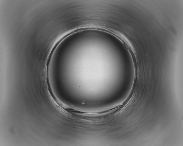 X0000115681388200911121236