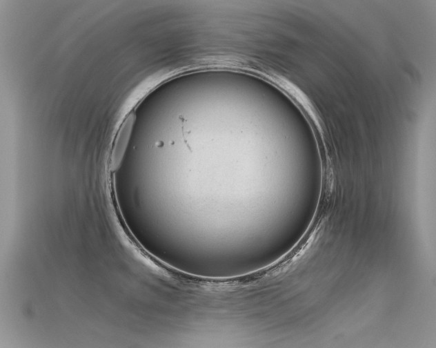 X0000115681389200911121236