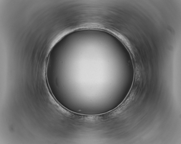 X0000115681390200911121236