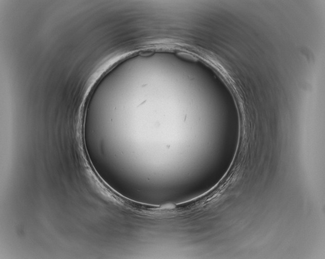 X0000115681392200911121236