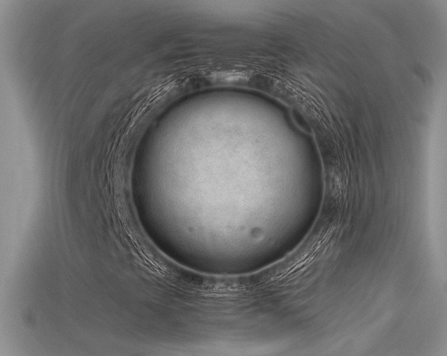 X0000115681393200911121236