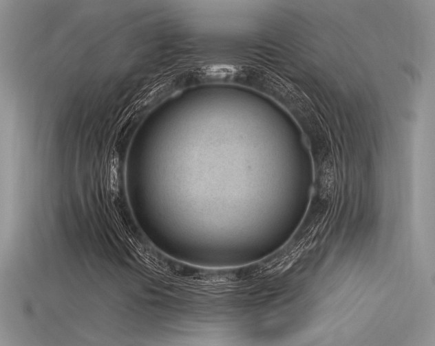 X0000115681394200911121236