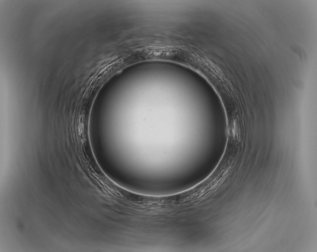 X0000115681396200911121236