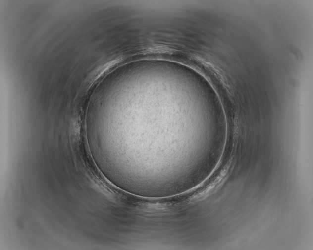X0000115681401200911121236