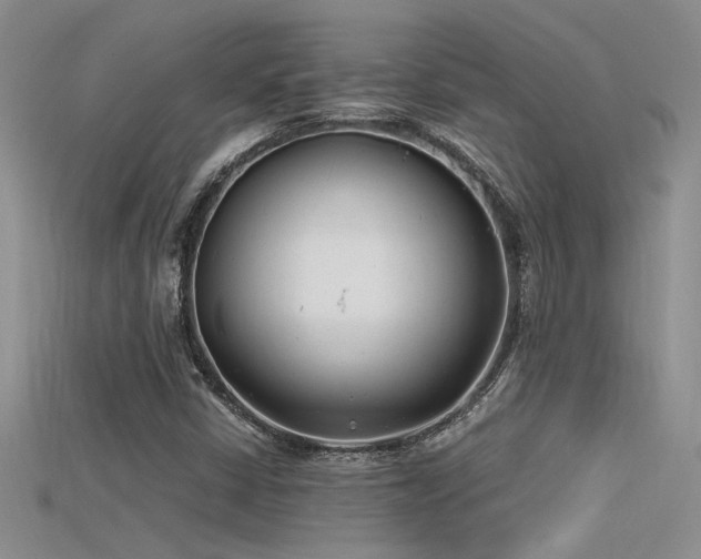 X0000115681402200911121236