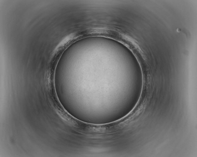 X0000115681403200911121236