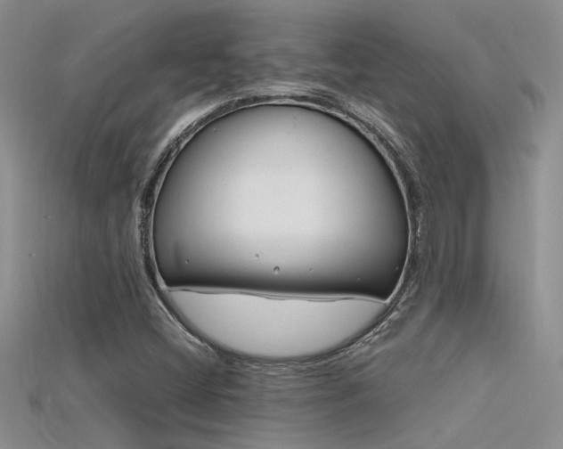 X0000115681404200911121236