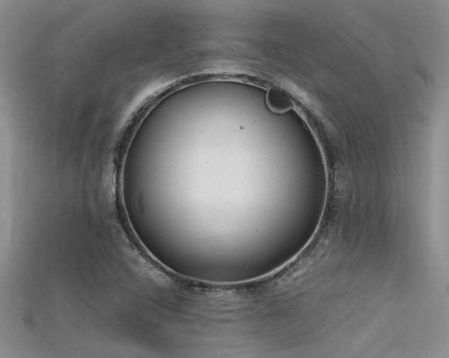 X0000115681408200911121236