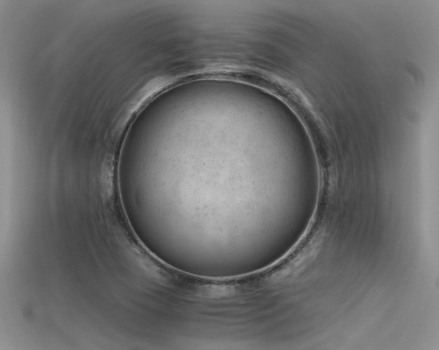 X0000115681409200911121236