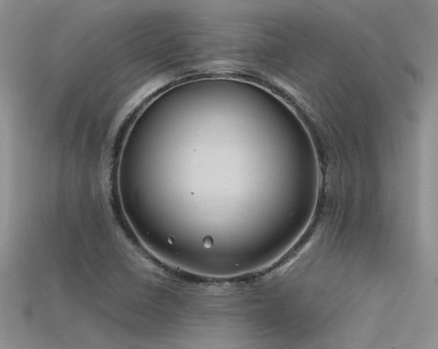X0000115681410200911121236