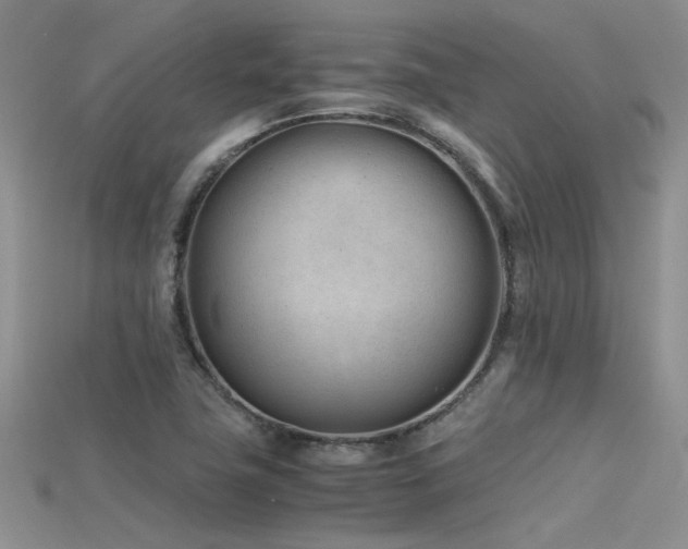 X0000115681411200911121236