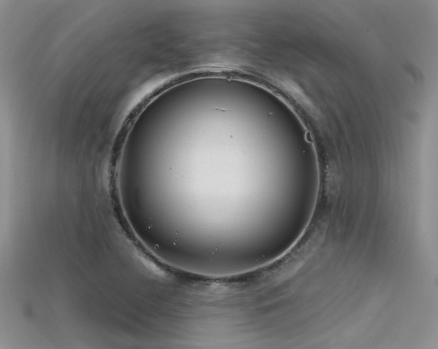 X0000115681412200911121236