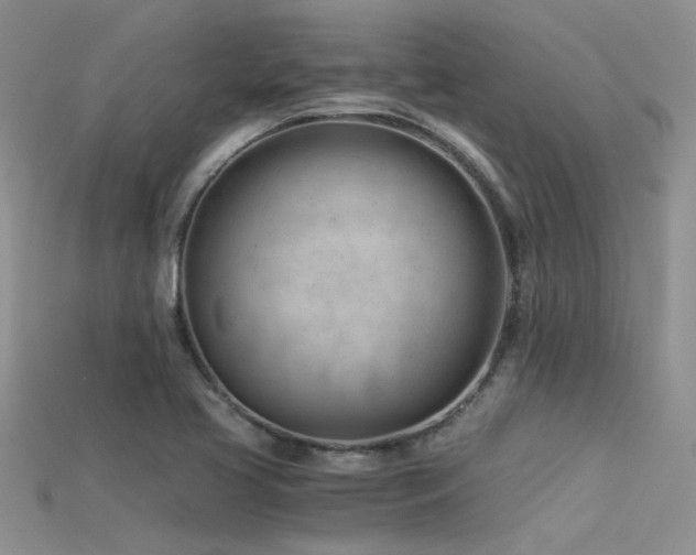 X0000115681413200911121236