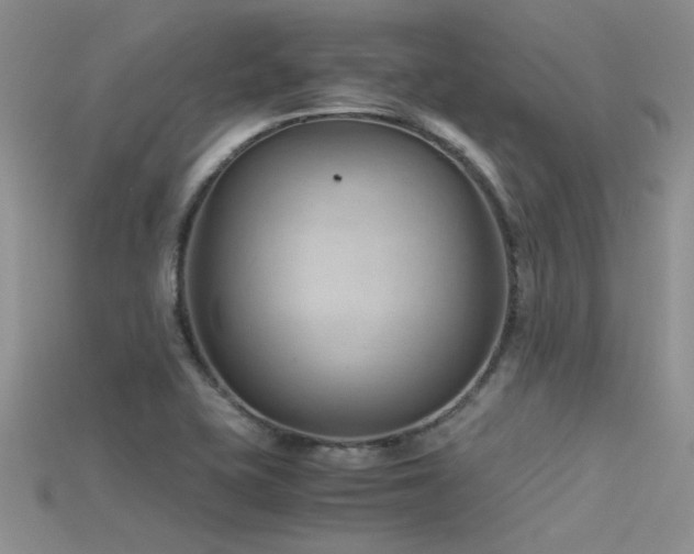 X0000115681415200911121236