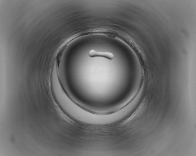 X0000115681417200911121236