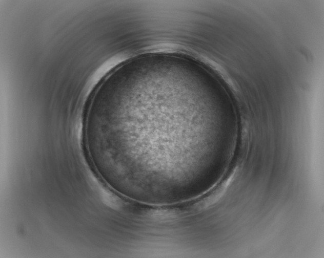 X0000115681418200911121236