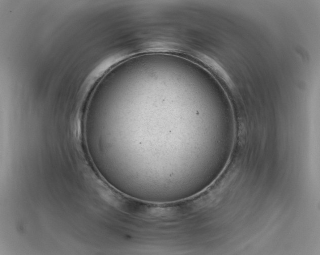 X0000115681419200911121236