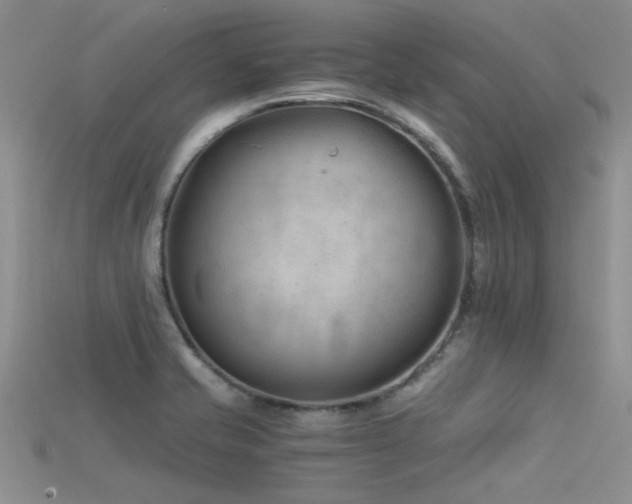 X0000115681421200911121236