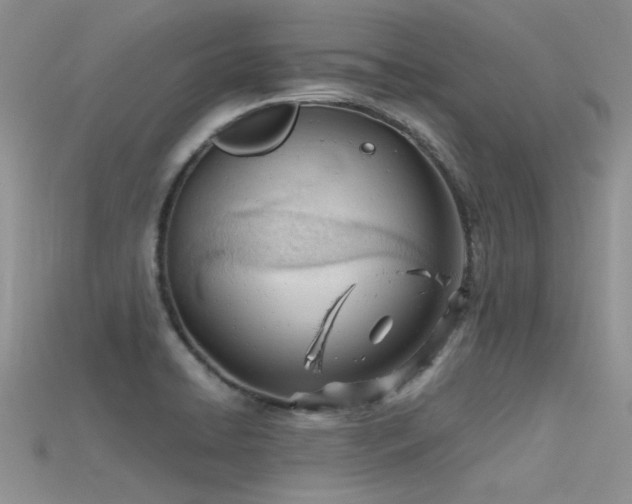 X0000115681422200911121236