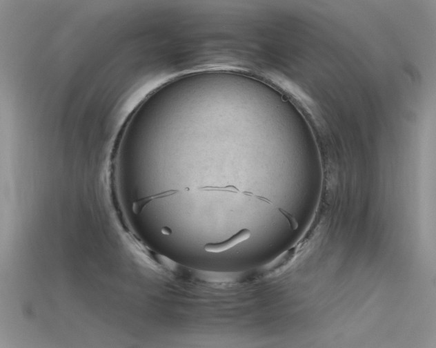 X0000115681423200911121236