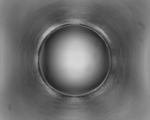 X0000115681424200911121236