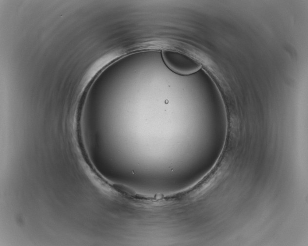 X0000115681426200911121236